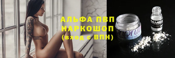 мяу мяу мука Дмитриев