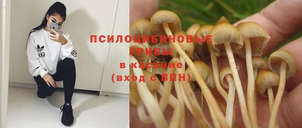 альфа пвп Дмитров
