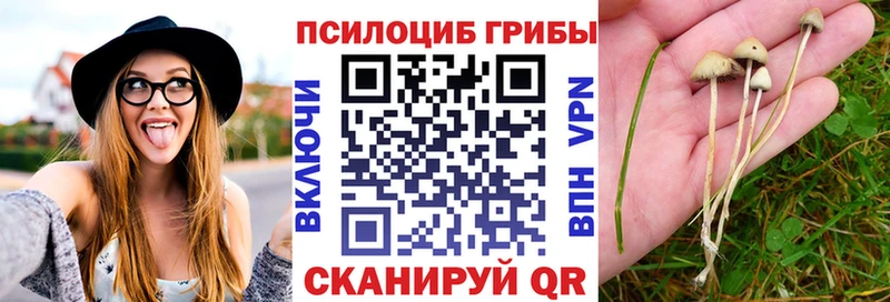 Галлюциногенные грибы мицелий  МЕГА ссылки  Осинники 