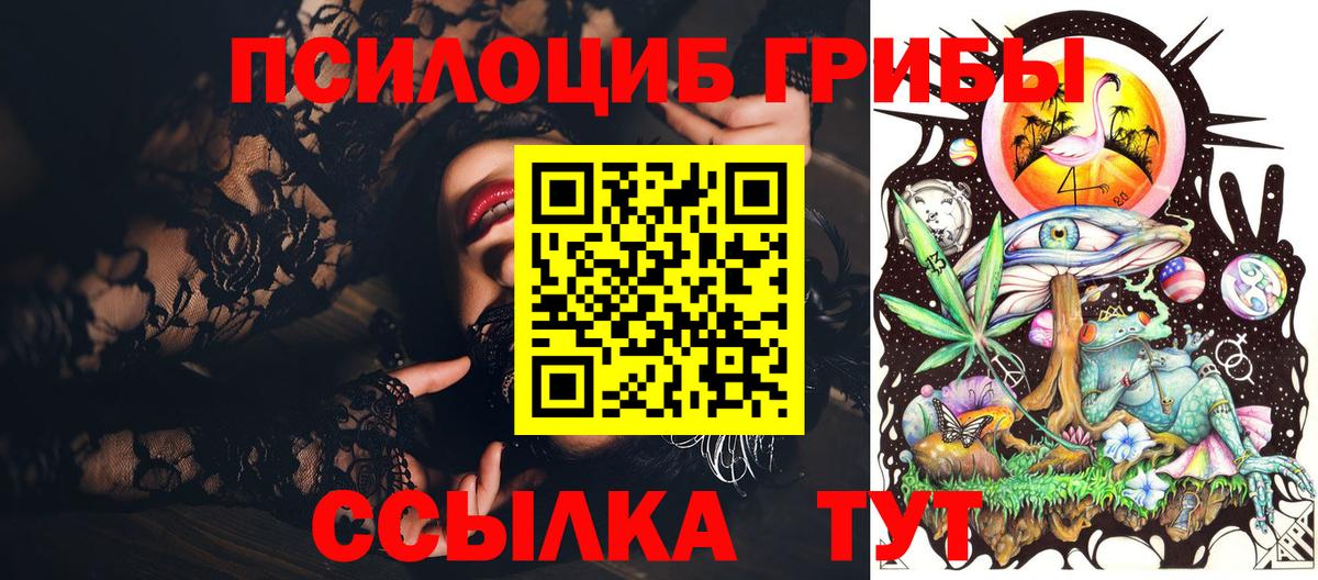 Галлюциногенные грибы мицелий  Вход с VPN  Галлюциногенные грибы мухоморы  Осинники 